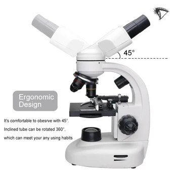 40X-1600X stalak kompasa Biološki Mikroskop s Okretanjem za 360 stupnjeva Glavom Optički Mikroskop s pozadinskim Osvjetljenjem za Studentski Eksperiment