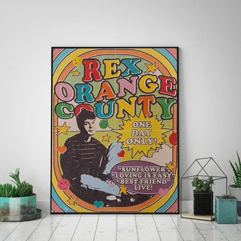 Rex Orange County Retro Inspirirana Estetski Plakat Platnu Hip Hop Rap Glazba Je Zvijezda Slika Zid Umjetnost Za Uređenje Dnevnog Boravka